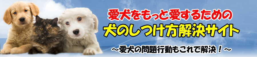 犬のしつけ方解決サイト